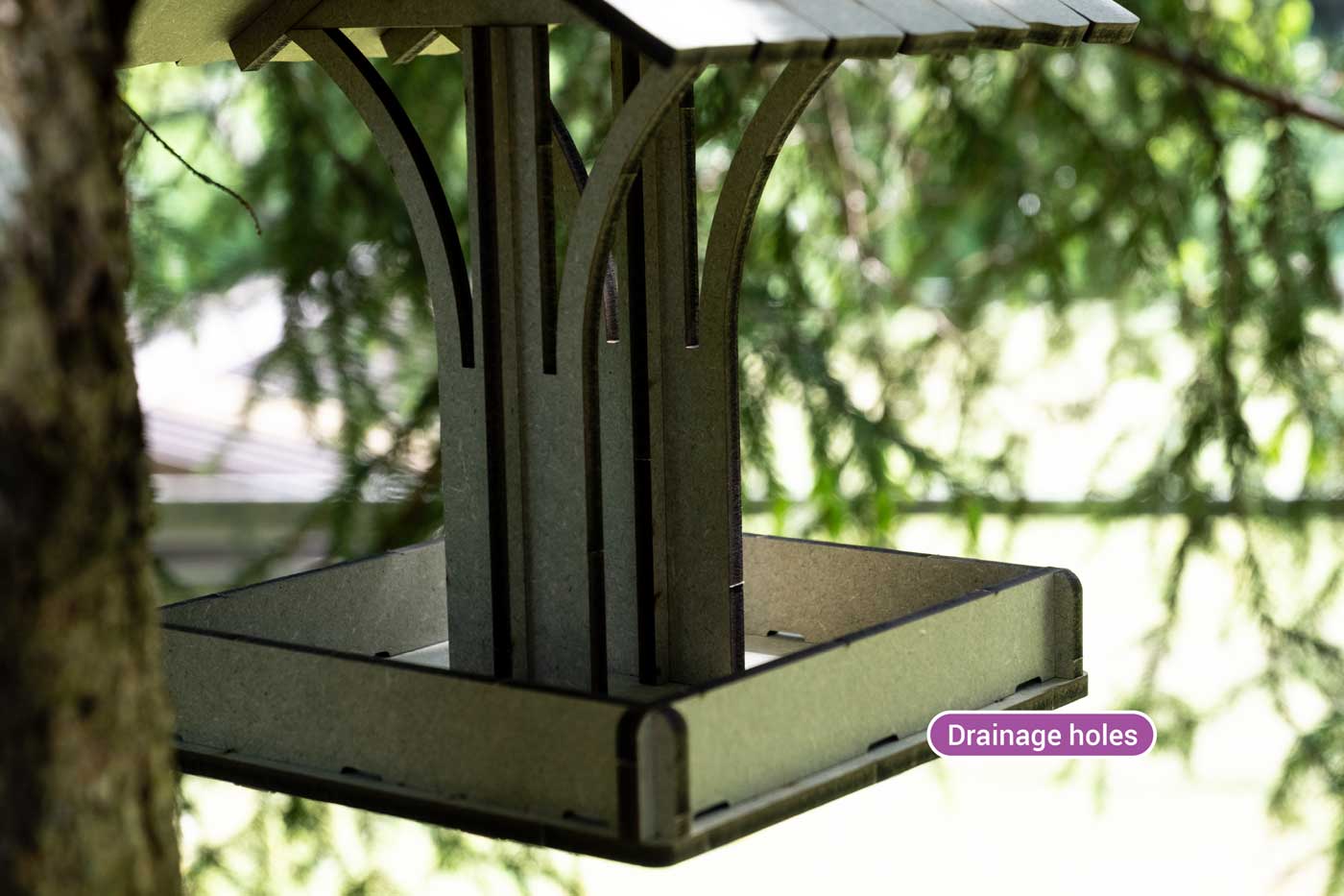 The Bird Feeder