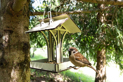 The Bird Feeder