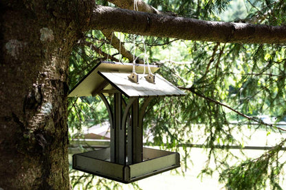 The Bird Feeder