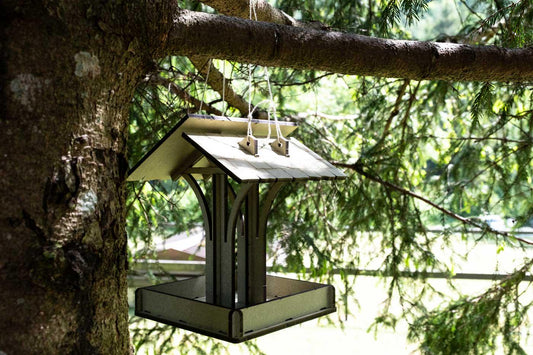 The Bird Feeder